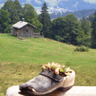 Alpe Brongen - 20_7_2014 056.JPG