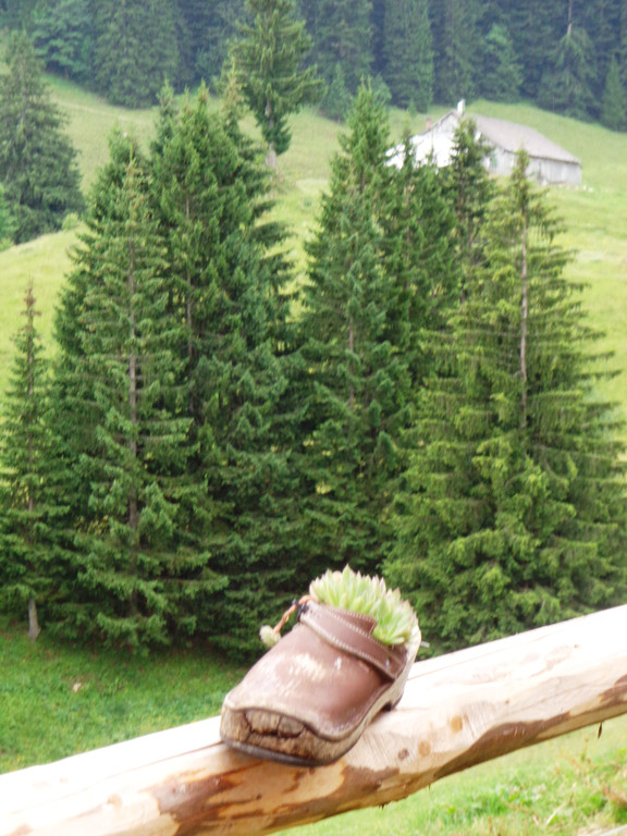 Alpe Brongen - 20_7_2014 075.JPG