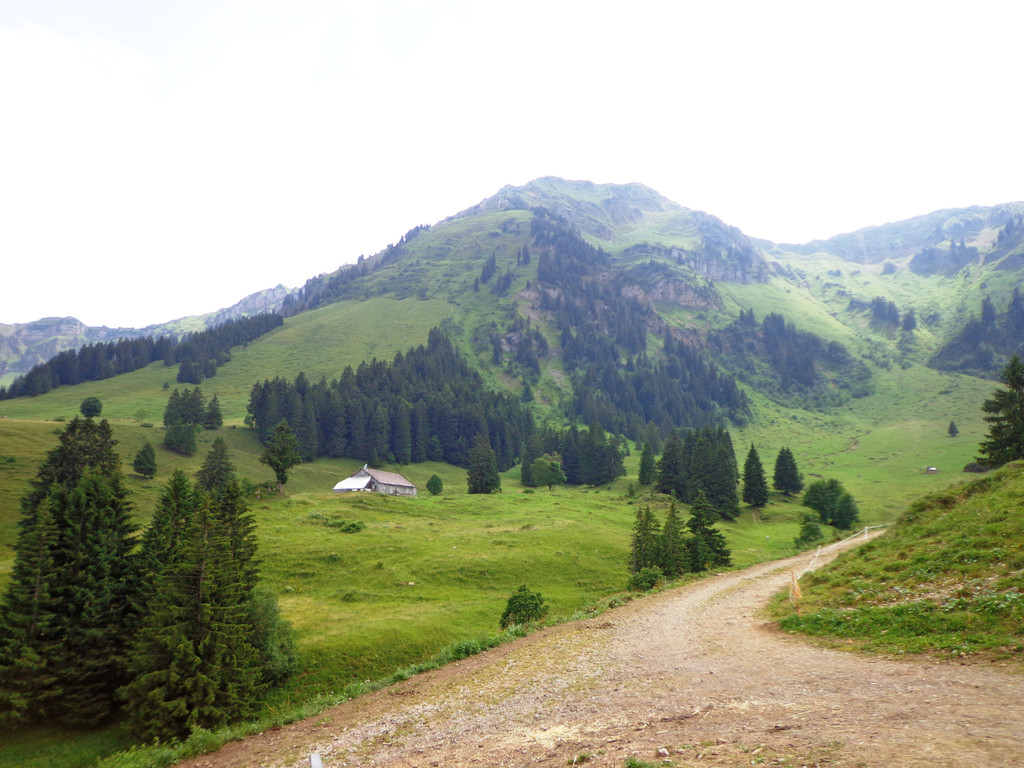 Alpe Brongen - 20_7_2014 090.JPG
