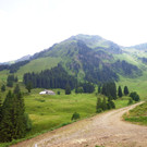 Alpe Brongen - 20_7_2014 090.JPG