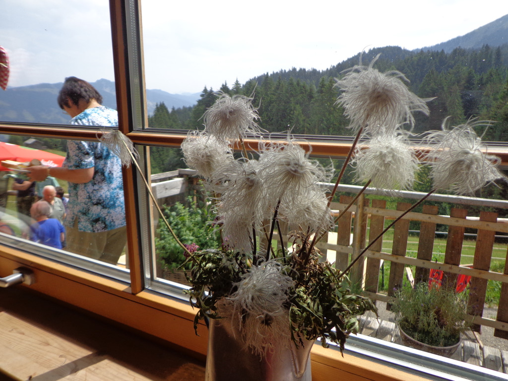 Alpe Brongen - 20_7_2014 027.JPG