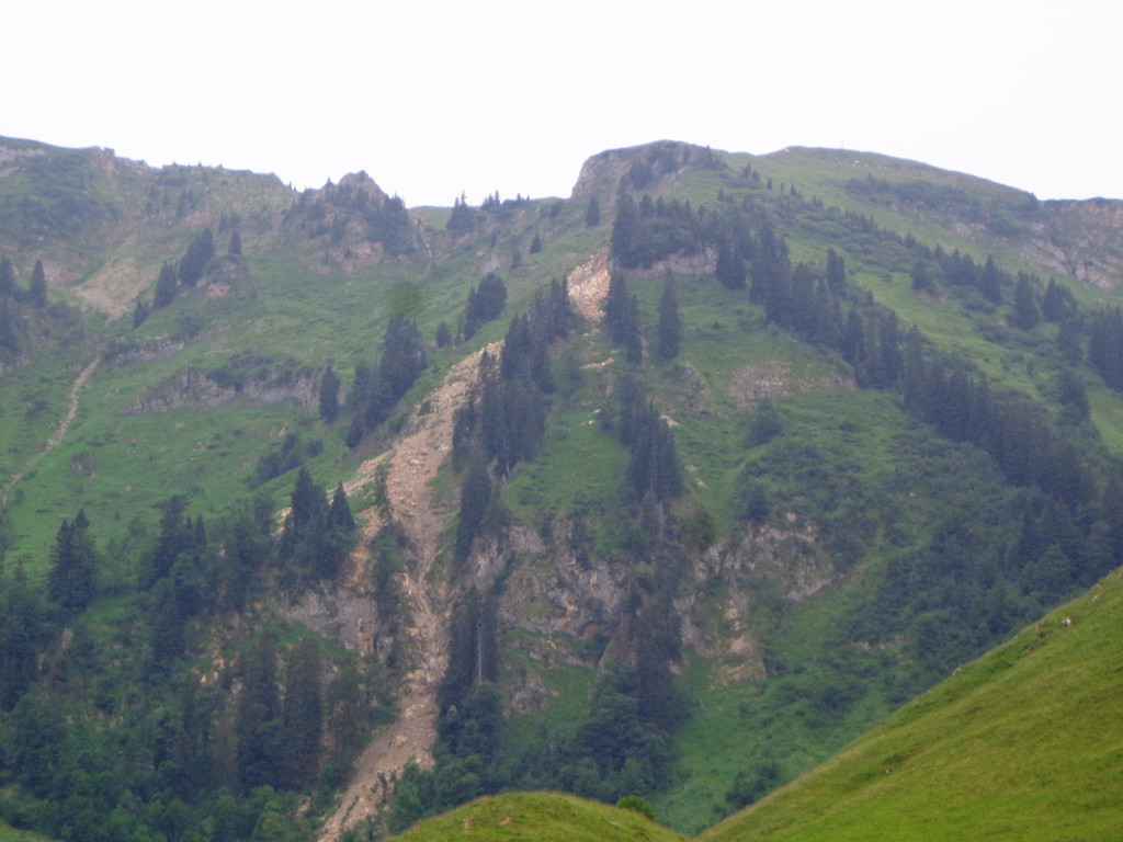 Alpe Brongen - 20_7_2014 074.JPG