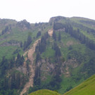 Alpe Brongen - 20_7_2014 074.JPG