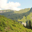 IMG_7790A - Kopie.jpg