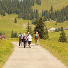 IMG_7824A - Kopie.jpg