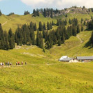 IMG_7830A - Kopie.jpg
