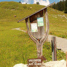 IMG_7831B - Kopie.jpg