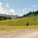 IMG_7939A - Kopie.jpg