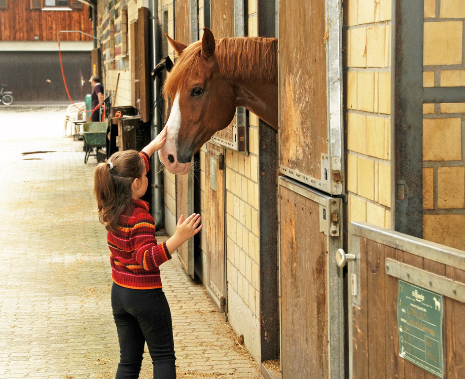 Reittherapie Ho__chst 23-07-2014 52.jpg