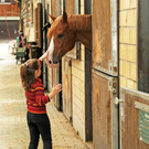 Reittherapie Ho__chst 23-07-2014 52.jpg