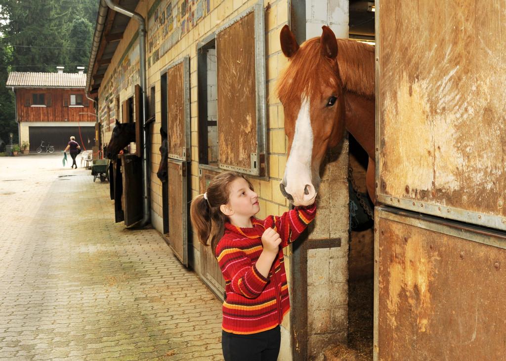 Reittherapie Ho__chst 23-07-2014 57.jpg