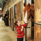Reittherapie Ho__chst 23-07-2014 57.jpg