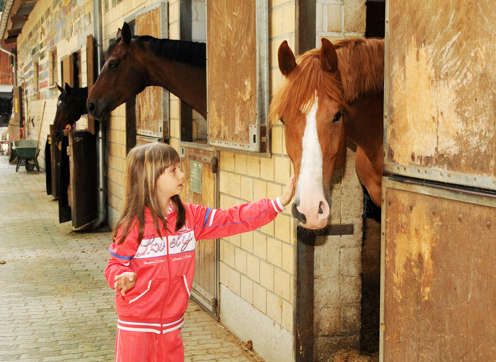 Reittherapie Ho__chst 23-07-2014 86.jpg