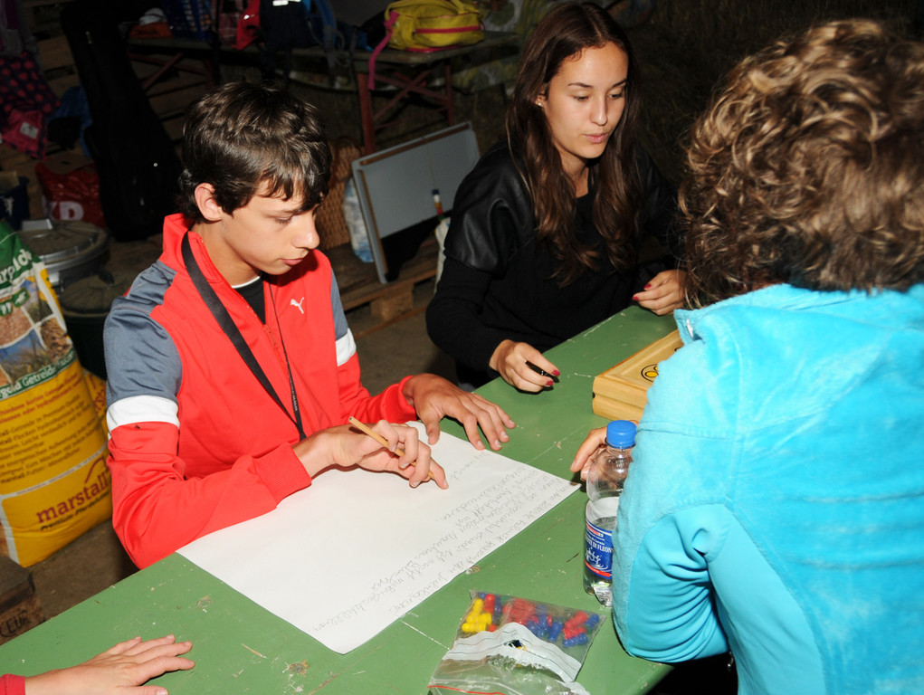 Reittherapie Ho__chst 23-07-2014 95.jpg
