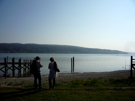 P1050980_jpg-1272207903