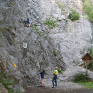 IMG_4470.jpg