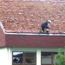 L__hausen6.jpg