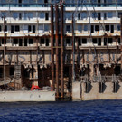 IBD0843-20140726.jpg