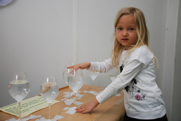 DSC_0095_JPG-1272232743