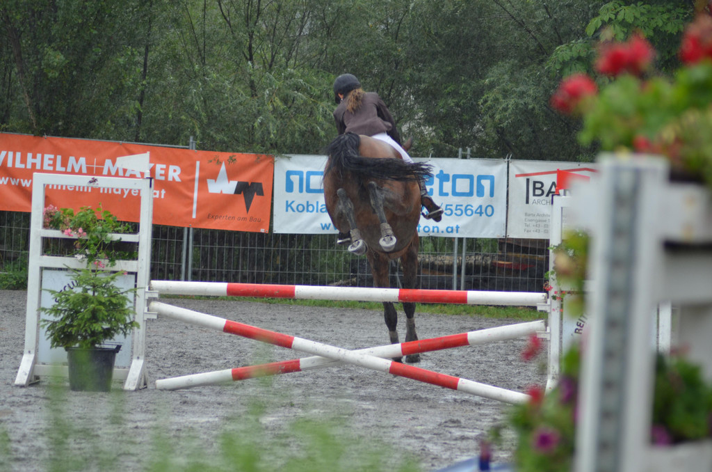 DSC_7846.JPG