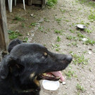 PICT1234.JPG