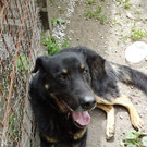 PICT1243.JPG
