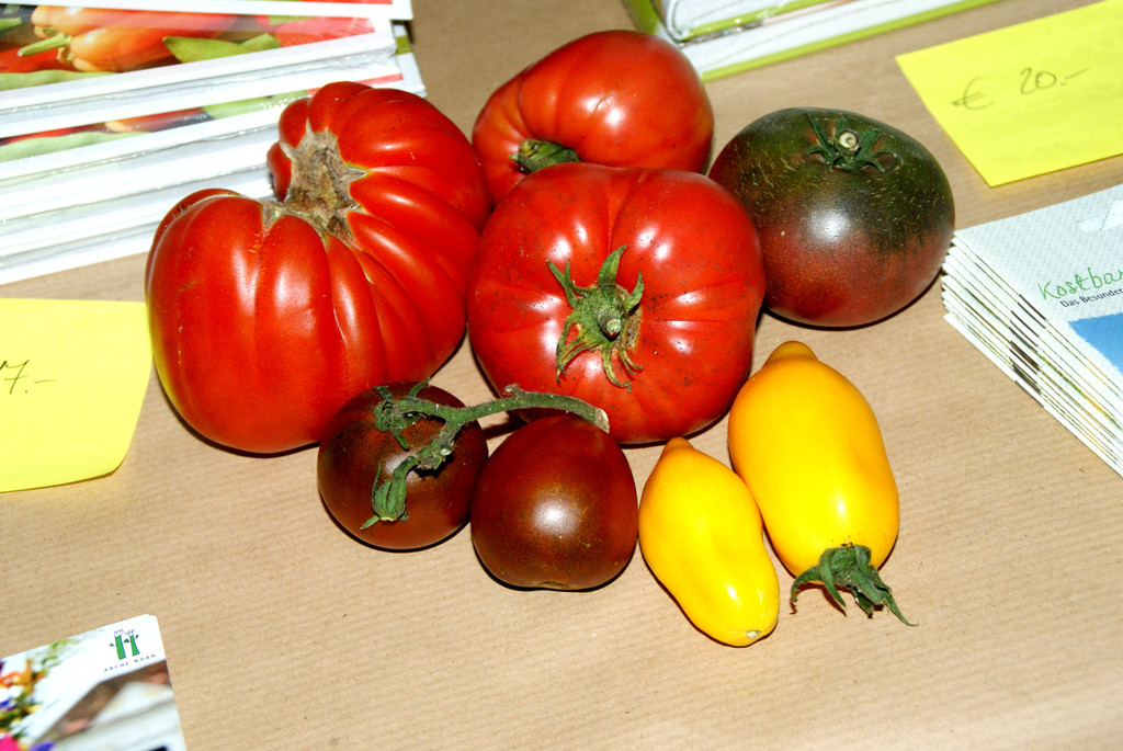 Farbenpr__chtige Vielfalt.JPG