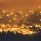Fire3_EPA_600.jpg