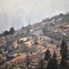 Fire8_EPA_600.jpg