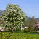 sm_gemeinde_mostprobe12_JPG-1272264985