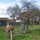 sm_gemeinde_mostprobe20_JPG-1272264881