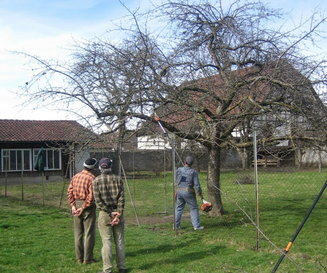 sm_gemeinde_mostprobe20_JPG-1272264881