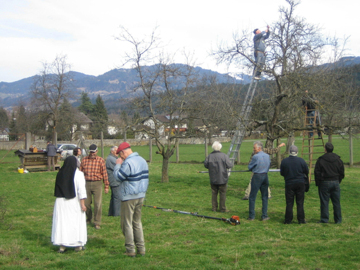 sm_gemeinde_mostprobe19_JPG-1272265052