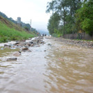 ABD0030-20140731.jpg