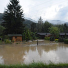 ABD0041-20140731.jpg