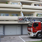 Tierrettung in Krems: Kater Ivan stürzte von Balkon