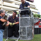 01-08-2014 09-44-32.jpg