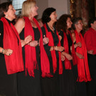 IMG_8650.JPG
