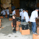 schaffar4.jpg