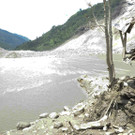 IBD0471-20140802.jpg