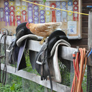DSC_0006.JPG