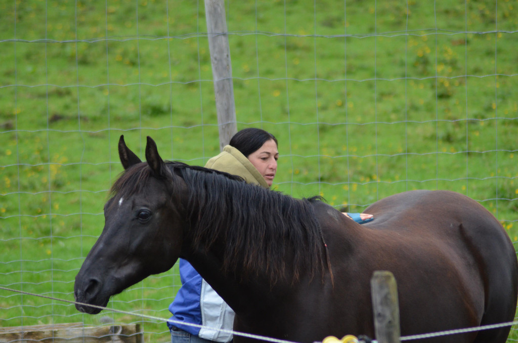 DSC_7888.JPG