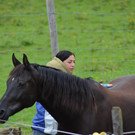 DSC_7888.JPG