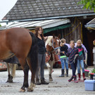 DSC_7909.JPG