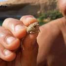 LacDeGafsa6_FB_600.jpg