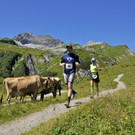 Lech_Zuers_am_Arlberg_Hoehenhalbmarathon_2012____Lech_Zuers_Tourismus_GmbH.jpg