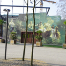Beim Festspielhaus