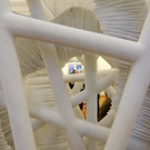 DSCN2195.JPG