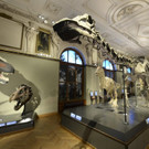 ABD0037-20140806.jpg