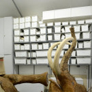 ABD0047-20140806.jpg